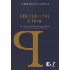 DERECHO PENAL JUVENIL